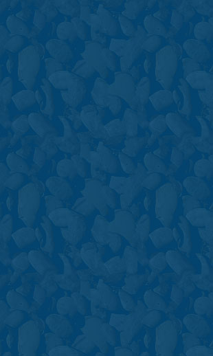 bg_pattern